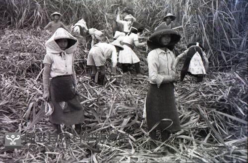1950至2006年臺灣常民生活藏品圖，第1張