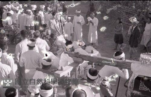 1950至2006年臺灣常民生活藏品圖，第1張