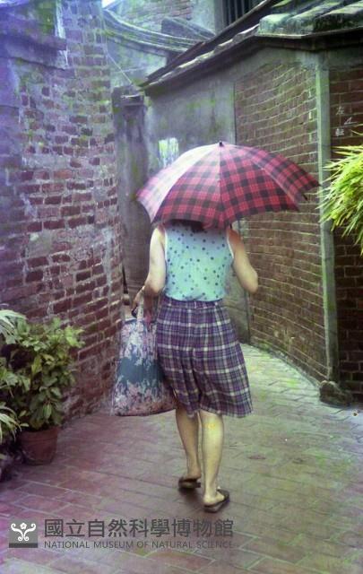 1950至2006年臺灣常民生活藏品圖，第1張