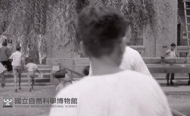 1950至2006年臺灣常民生活藏品圖，第1張