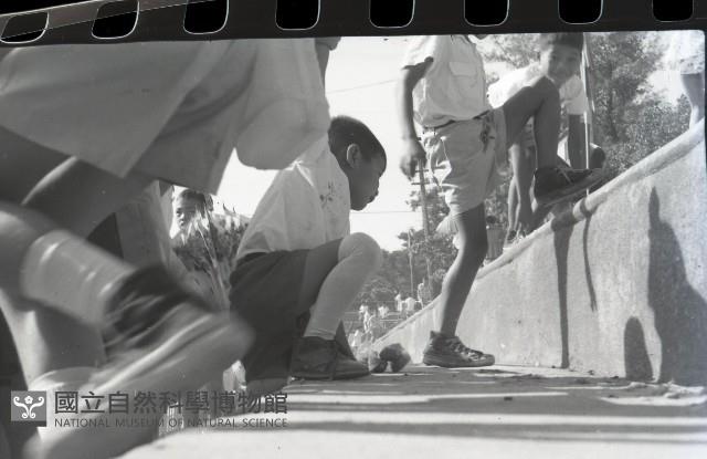 1950至2006年臺灣常民生活藏品圖，第1張