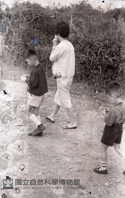 1950至2006年臺灣常民生活 藏品圖，第1張
