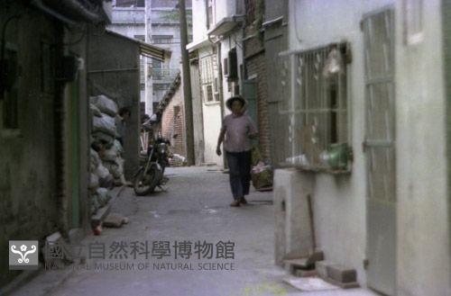 1950至2006年臺灣常民生活藏品圖，第1張