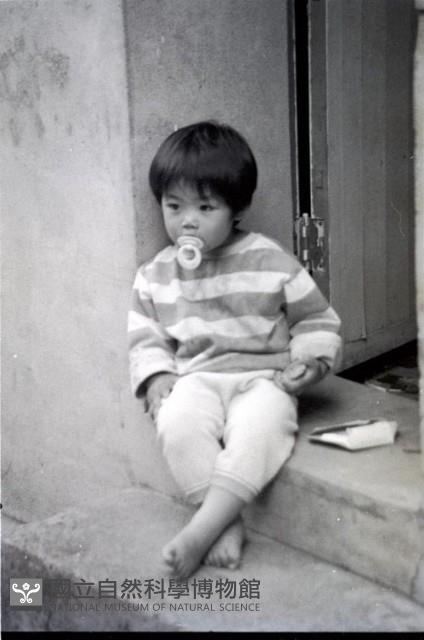 1950至2006年臺灣常民生活藏品圖，第1張