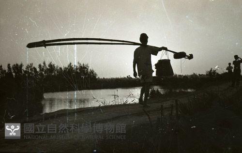 1950至2006年臺灣常民生活藏品圖，第1張