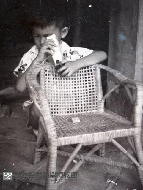 1950至2006年台灣常民生活藏品圖，第1張