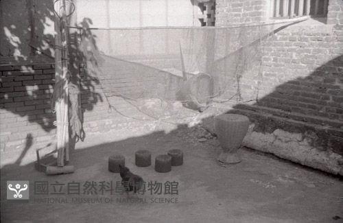 1950至2006年臺灣常民生活藏品圖，第1張