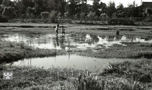 1950至2006年臺灣常民生活藏品圖，第1張