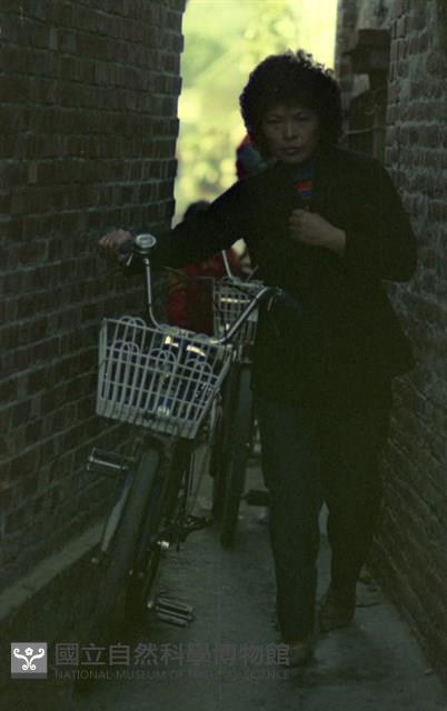 1950至2006年臺灣常民生活藏品圖，第1張