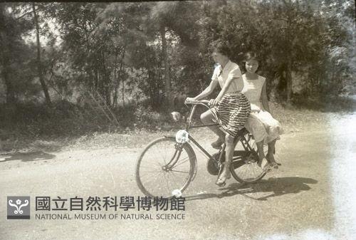 1950至2006年台灣常民生活藏品圖，第1張