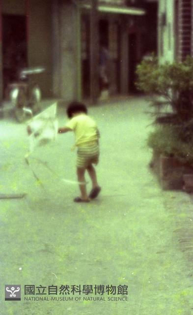 1950至2006年臺灣常民生活藏品圖，第1張