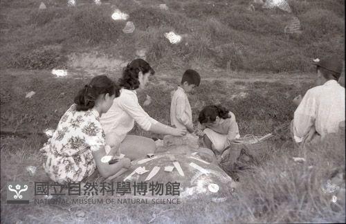 1950至2006年臺灣常民生活藏品圖，第1張