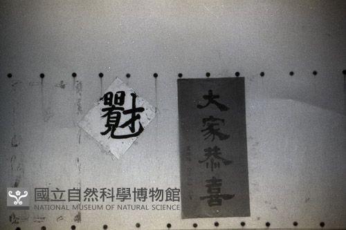 1950至2006年臺灣常民生活藏品圖，第1張