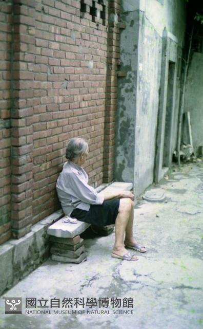 1950至2006年臺灣常民生活藏品圖，第1張