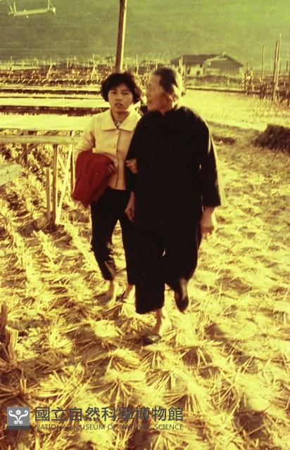 1950至2006年臺灣常民生活藏品圖，第1張
