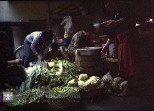 1950至2006年臺灣常民生活藏品圖，第1張