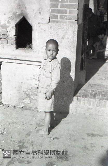 1950至2006年臺灣常民生活藏品圖，第1張
