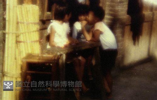 1950至2006年臺灣常民生活藏品圖，第1張