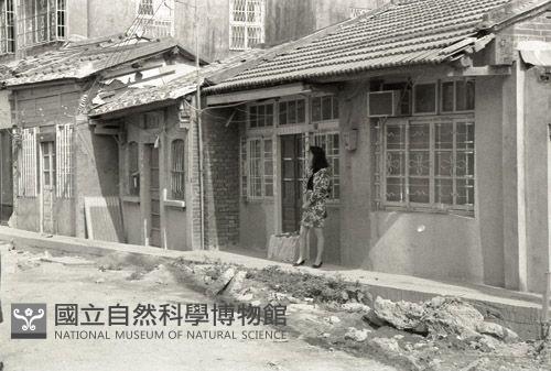 1950至2006年臺灣常民生活藏品圖，第1張