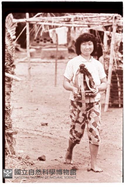 1950至2006年臺灣常民生活藏品圖，第1張