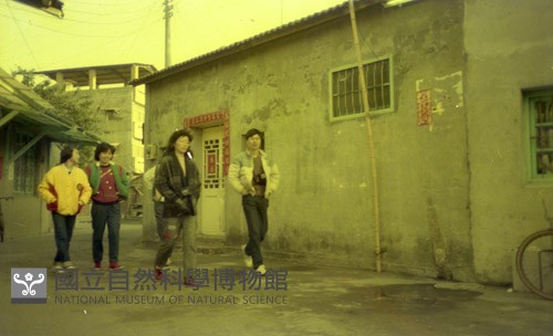 1950至2006年臺灣常民生活藏品圖，第1張