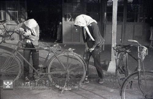 1950至2006年臺灣常民生活藏品圖，第1張