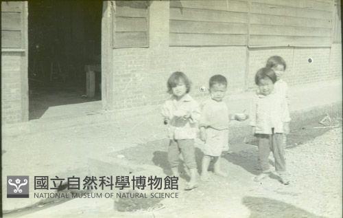 1950至2006年臺灣常民生活藏品圖，第1張