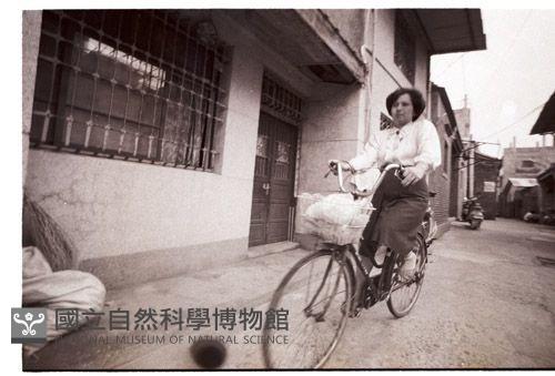 1950至2006年臺灣常民生活藏品圖，第1張