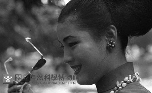 1950至2006年臺灣常民生活藏品圖，第1張