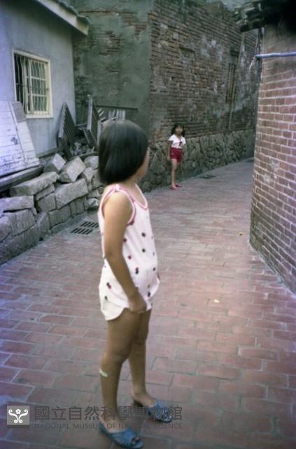 1950至2006年臺灣常民生活藏品圖，第1張