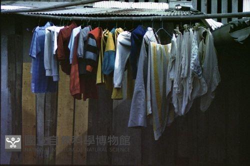 1950至2006年臺灣常民生活藏品圖，第1張