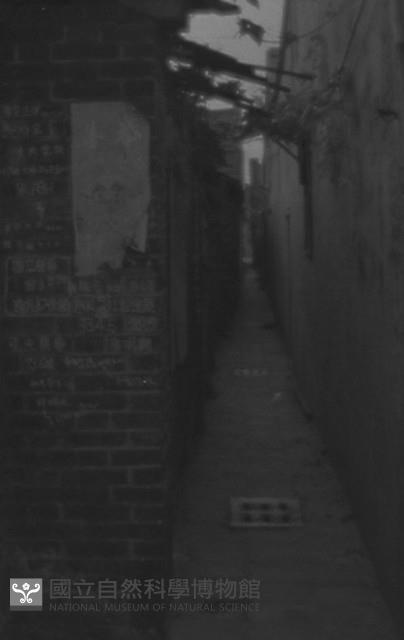 1950至2006年臺灣常民生活藏品圖，第1張