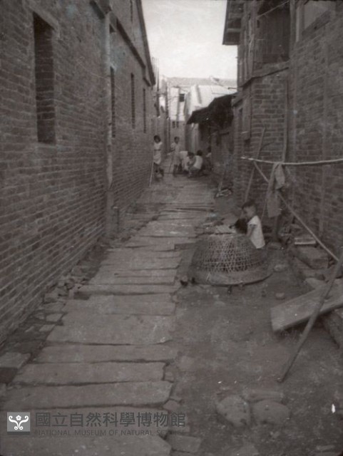 1950至2006年臺灣常民生活藏品圖，第1張