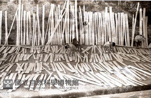 1950至2006年臺灣常民生活藏品圖，第1張