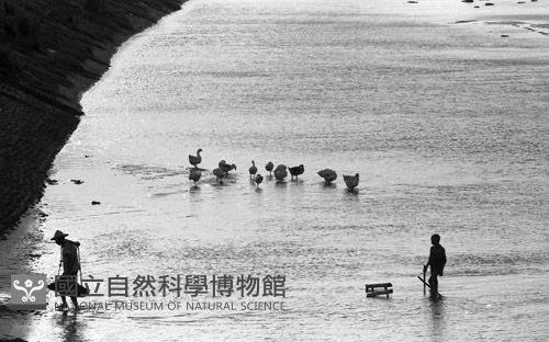 1950至2006年臺灣常民生活藏品圖，第1張
