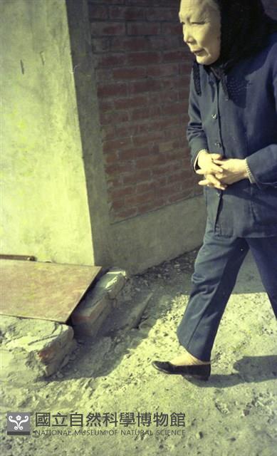 1950至2006年臺灣常民生活藏品圖，第1張