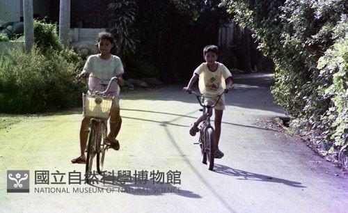 1950至2006年臺灣常民生活藏品圖，第1張