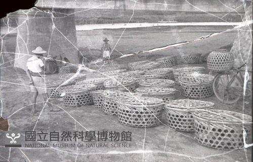 1950至2006年臺灣常民生活藏品圖，第1張