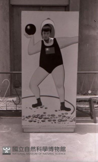 1950至2006年臺灣常民生活藏品圖，第1張