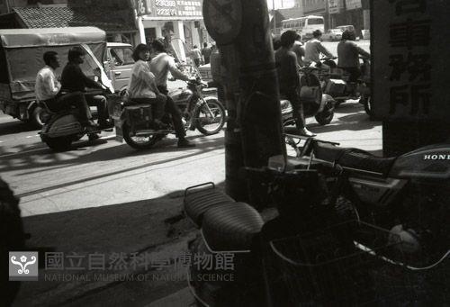 1950至2006年臺灣常民生活藏品圖，第1張