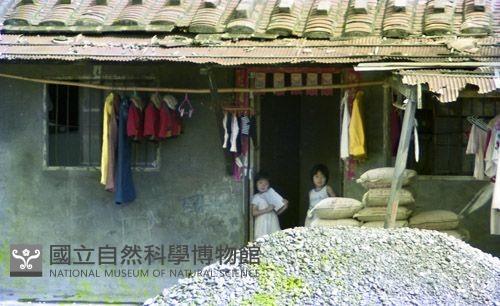 1950至2006年臺灣常民生活藏品圖，第1張