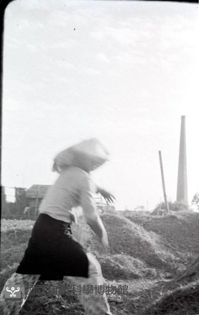 1950至2006年臺灣常民生活藏品圖，第1張