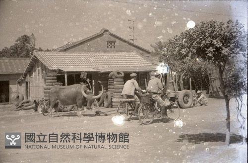 1950至2006年臺灣常民生活藏品圖，第1張