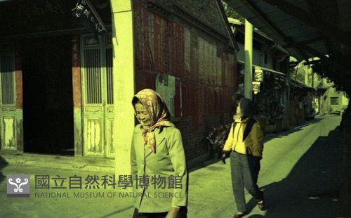 1950至2006年臺灣常民生活藏品圖，第1張