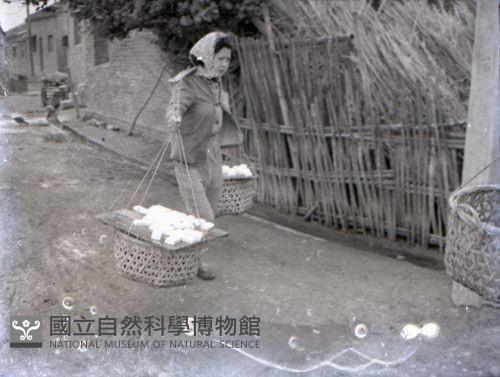 1950至2006年台灣常民生活藏品圖，第1張