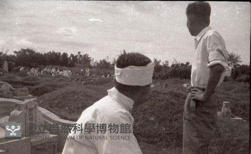 1950至2006年臺灣常民生活藏品圖，第1張