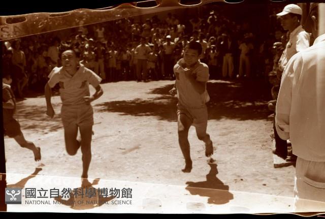 1950至2006年臺灣常民生活藏品圖，第1張