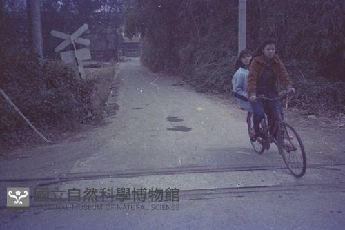1950至2006年臺灣常民生活藏品圖，第1張