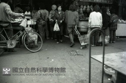 1950至2006年臺灣常民生活藏品圖，第1張