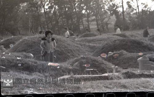 1950至2006年臺灣常民生活藏品圖，第1張